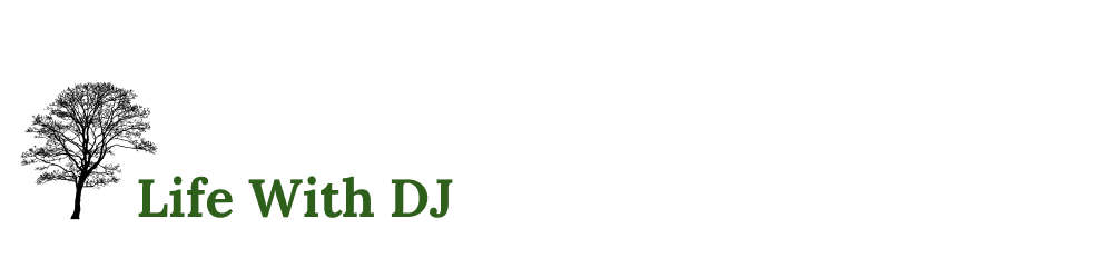 lifewithdj.com